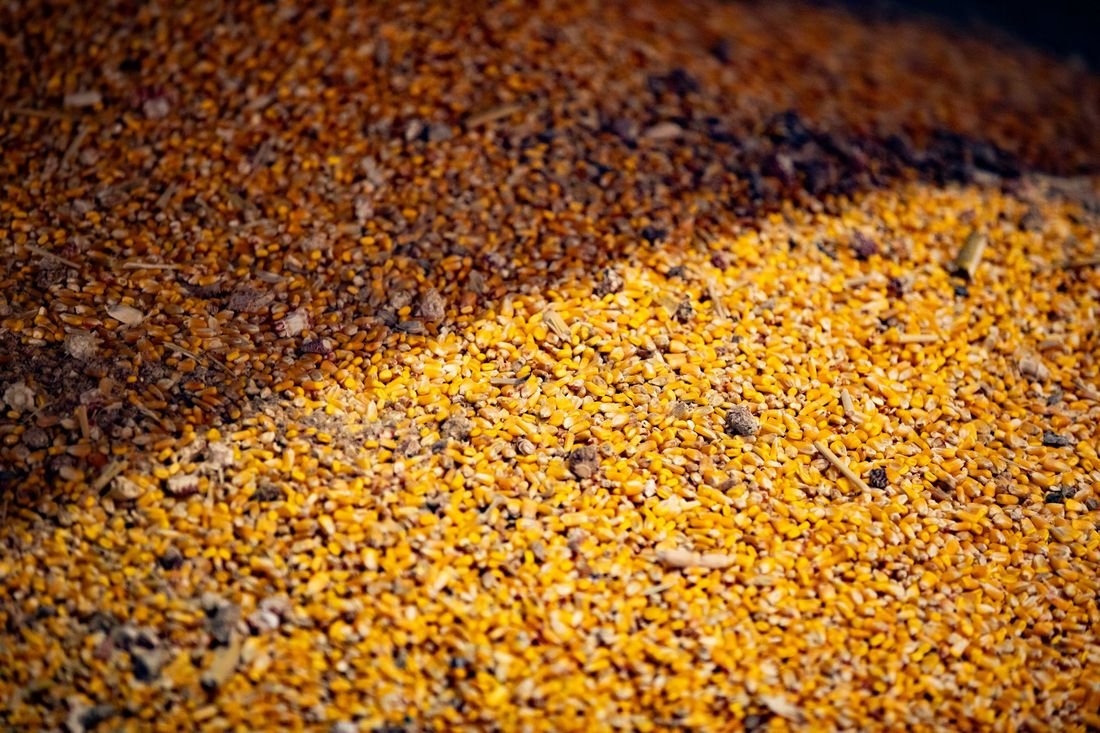 Corn and Ethanol Production. Sustainable Byproducts and Co-Products.